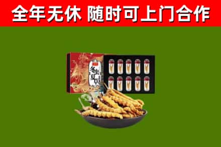 宜章县回收冬虫夏草价格