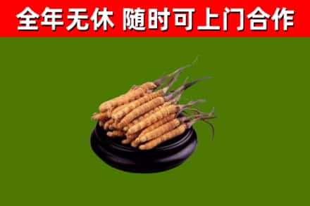 宜章县烟酒回收冬虫夏草.jpg