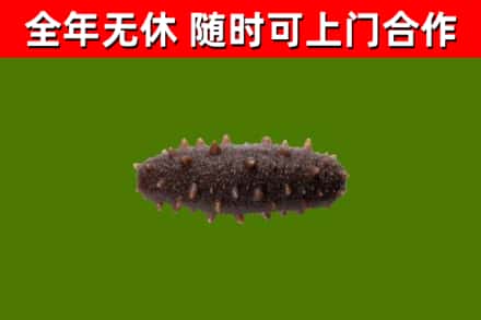 宜章县烟酒回收干海参.jpg